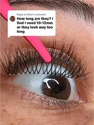 A post by @eyeshinecosmetics on TikTok caption: Replying to @Eliza natural mini strip lash #invisistrip #naturallashes 