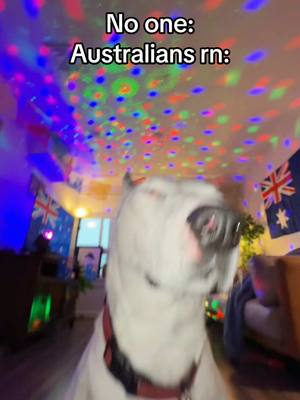 A post by @mistermainer on TikTok caption: Australians doing the right thing #australia #aussie #dogs #meme 