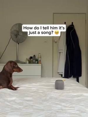 A post by @michellechurchillfit on TikTok caption: Too well trained🤔😂
