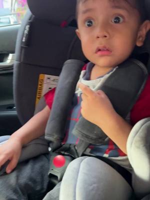 A post by @vitolin_r on TikTok