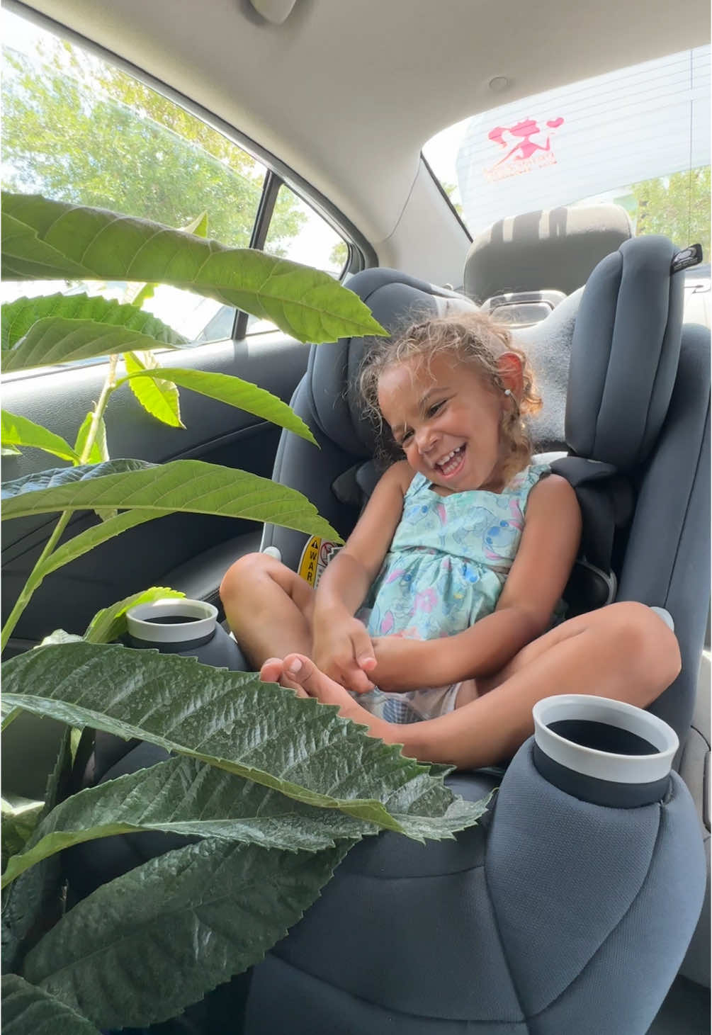A post by @ on TikTok caption: i meant fruit tree* lol but come to arbor day with us!! we go every year and it’s always so fun! the animals were def my fav and the lemonade!!! 