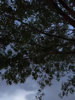 A post by @mommakarina on TikTok