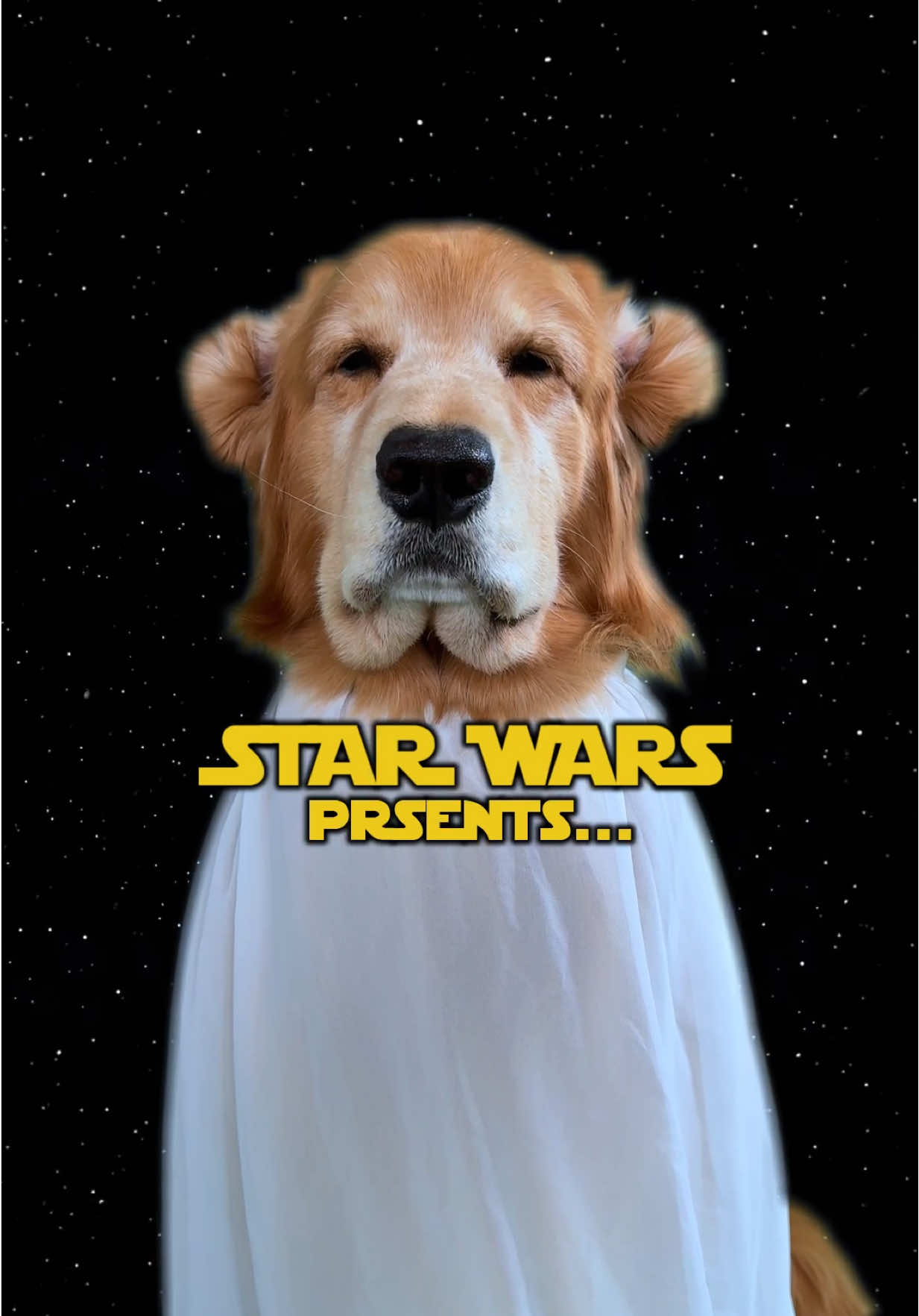 A post by @tuckerbudzyn on TikTok caption: May the 4th be with you 🪐🛸⭐️ #starwars #may4th 