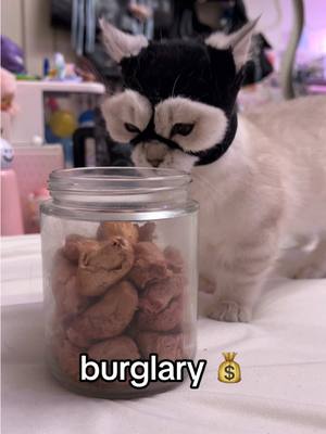 A post by @sunkittencats on TikTok caption: i swear there used to be a thief / robber emoji ??? #fyppppppppppppppppppppppp #kitten #catsoftiktok #doobscoobgoob #fypシ゚viral 