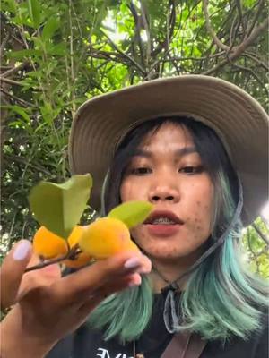 A post by @infinityofsteavkhaet on TikTok caption: អ៊ួយជាតិ🤤🌱#nimnounkpc #foryourpage #viral #fyp #funnyvideos #funny #yummy 
