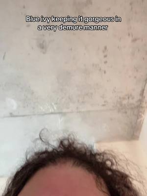 A post by @joolieannie on TikTok caption: #fyp #verydemure #bluivy 