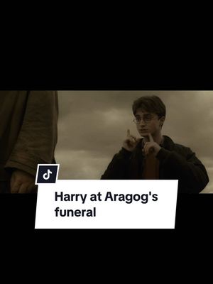 A post by @harrypotter on TikTok caption: a top ten harry moment right here #harrypotter #hagrid #aragog #movierecommendations