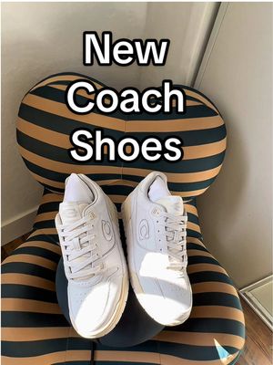 A post by @cyrilroypalmer on TikTok caption: Unreleased sneakers from coach #newshoes #coach #soho 