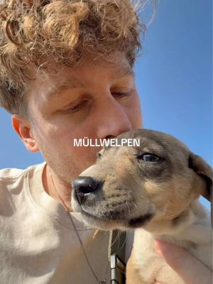 A post by @malte.zierden on TikTok caption: 🐶🗑️
