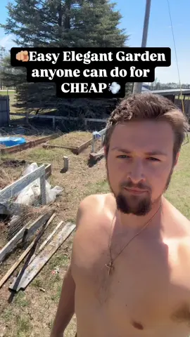 A post by @blohmtreezy on TikTok caption: Garden Math: $0 Yields me $F,OOD for the Year  . . #gardeninspiration #gardenideas #gardentransformation #landscaping #growyourfood #growyourownfood #selfsufficient #homestead #diy #diyprojects #diygarden #raisedgardenbed 
