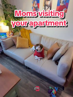 A post by @mistermainer on TikTok caption: Is your mom like this? #moms #momlife #funny #meme #dogs #comedy #skits #clingy #boymomlife 