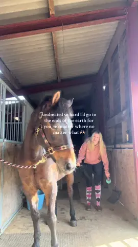 A post by @daisytopp on TikTok caption: best boy 🫶🏻