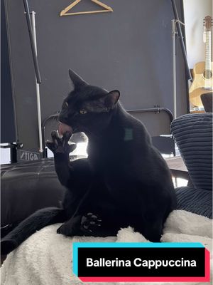 A post by @the_mannii on TikTok