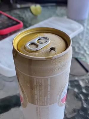 A post by @momentsgang on TikTok caption: #onthisday bro will never sit on my drink again