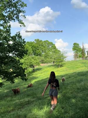 A post by @theskimaskgirl on TikTok caption: :,)