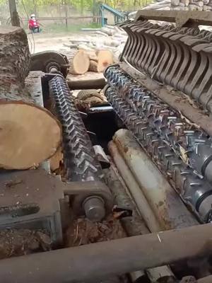 A post by @momentsgang on TikTok caption: #onthisday this is how toothpicks are made