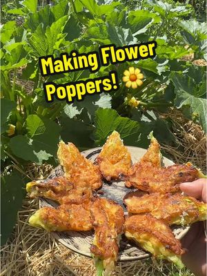 A post by @2guysandsomeland on TikTok caption: Making Flower Poppers! 🌼 🥘 #foryou #garden #cooking #dinnerideas #planttok #couple #fypシ #produce 