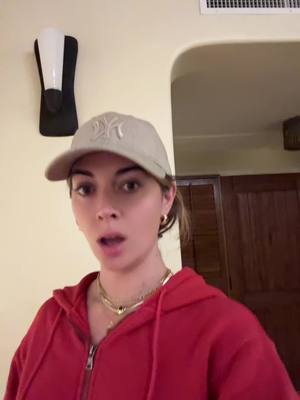 A post by @ihatebriannachickenfry on TikTok
