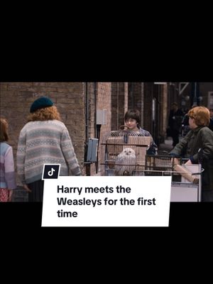 A post by @harrypotter on TikTok caption: i would also trust molly weasley if she told me to run at a wall #harrypotter #weasleys #ronweasley #movierecommendations