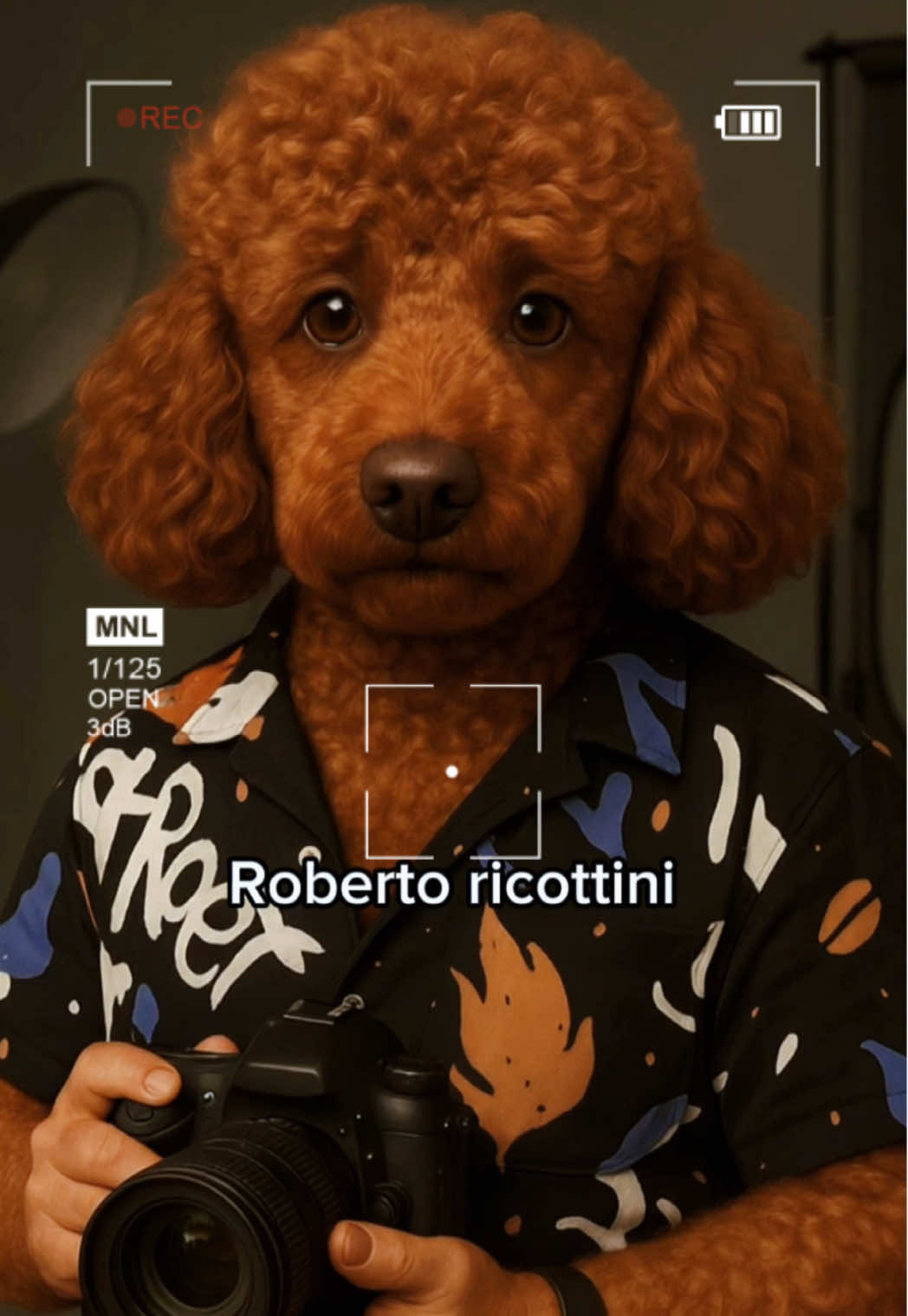 A post by @robdawe on TikTok caption: #robertoricottini Mi Versión del #italianbrainrot como #ballerinacappuccina 😅