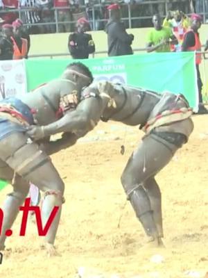 A post by @lambsenegaltv2 on TikTok caption: #lambsenegaltv1 #niangboundaw 