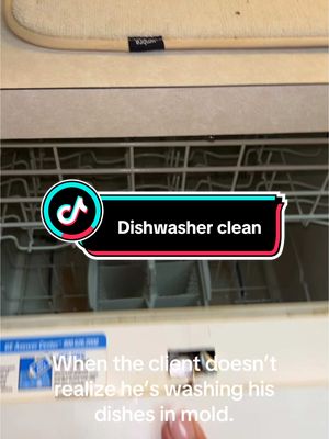 A post by @donnamendoza35 on TikTok caption: How often do you clean your dishwasher?#cleantok #cleaning #hack #monday #motivation #clean #cleaningtiktok #kitchen #cleanwithme #f 