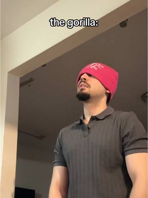 A post by @strang3mister on TikTok caption: 😭😭 #skit #funny #viral #gorilla 