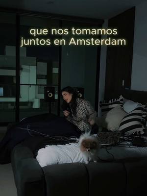 A post by @tifannylm on TikTok caption: Cupido que pedo contigo???? #trendingvideo #musica #ruidoblanco #mascota 
