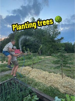 A post by @2guysandsomeland on TikTok caption: Let’s plant some trees and annoy Evan! 🌳 #foryou #planttok #garden #fruittree #trees #fruit #gay #couple #fypシ 