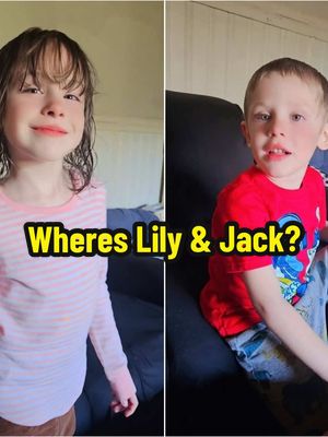 A post by @therealbiggdracco on TikTok caption: Siblings disappear at the same time ! Why are the parents catching so much heat ? #novascotia #lilyandjack #greenscreenvideo #greenscreen #fyp #missing #foryoupage 