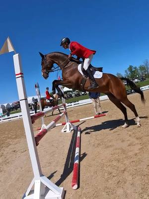 A post by @boydmartin on TikTok caption: Steph POV 📹 Hard to say who gets more nervous on show jumping day at the @Kentucky Three Day Event 🤷‍♂️ 