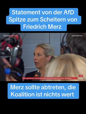 A post by @svenhaemischafd on TikTok caption: #afd #unserlandzuerst #mutzurwahrheit #deutschland #2025 #kanzler #merz #bundestag 