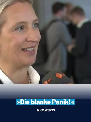 A post by @afdfraktionimbundestag on TikTok caption: Die Panik ist ausgebrochen! #weidel zur Nichtwahl von #merz