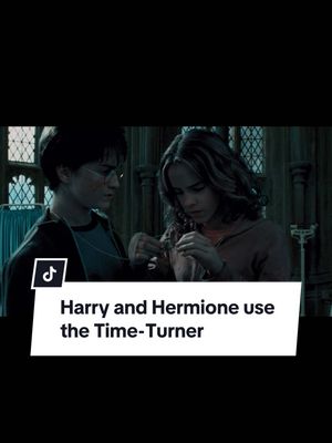 A post by @harrypotter on TikTok caption: i've got fomo on ron's behalf #harrypotter #hermionegranger #movierecommendations 
