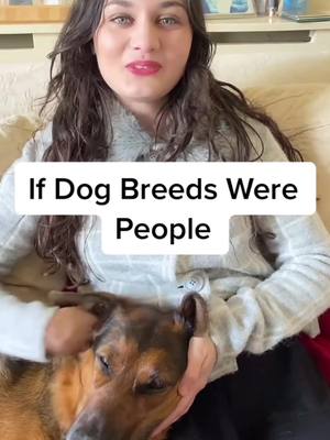 A post by @gina_meredith_ on TikTok caption: New skit! Is this accurate? 😂😇 #dogs #breeds 