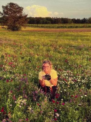 A post by @mercedes.meranda on TikTok caption: wildflower season 🌼🌸 #georgia #wildflower #summer 