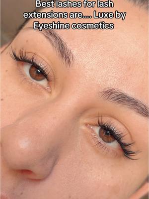 A post by @eyeshinecosmetics on TikTok caption: #creatorsearchinsights #bestlashes #bestlashesforlashextensions #eyeshinecosmetics #lashextensions #lashclusters 