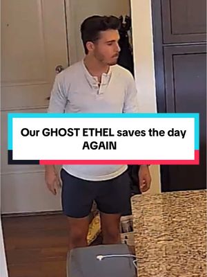 A post by @thebrandonrobert on TikTok caption: Chocolate bars are a big no-no and our ghost #ethel knows it #homecamera 
