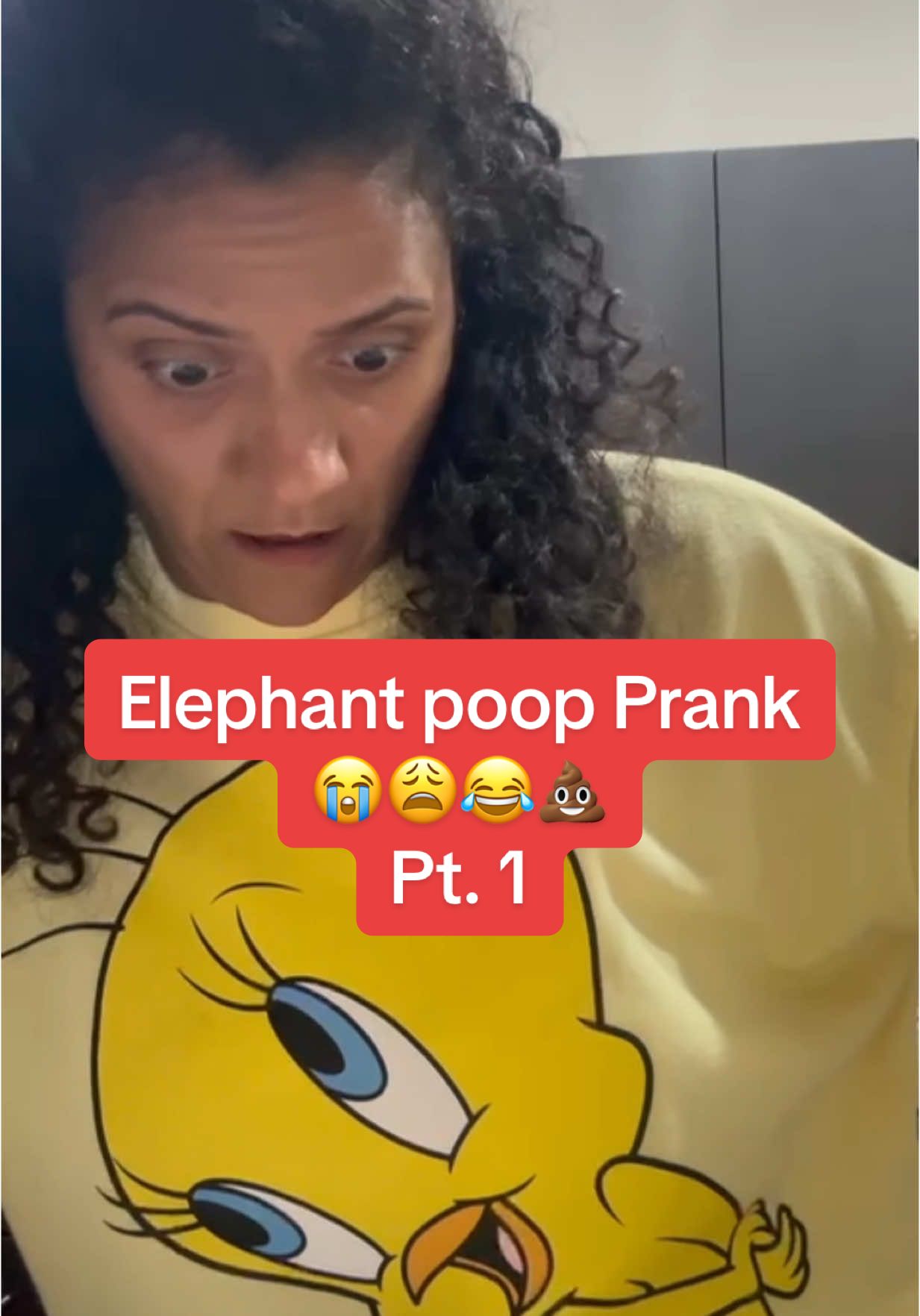 A post by @liranzosisters on TikTok caption: Pt. 1 of me shipping Elephant poop to my sister 😭😂😩💩 #dominicansisters #liranzosisters #elephantpoopprank #elephantpoop #siblingpranks #prankwars #sisterlylove #fypage 
