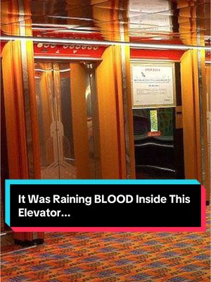 A post by @mrballen on TikTok caption: It Was Raining BLOOD Inside This Elevator... #truecrime #truecrimetok #cruiseship 