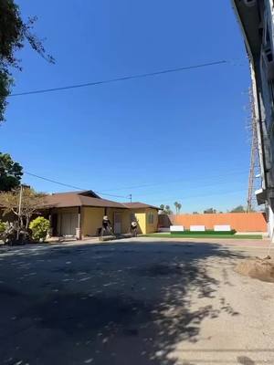 A post by @lopezseventsrentalsllc on TikTok caption: Modern Mexican Style wedding 
