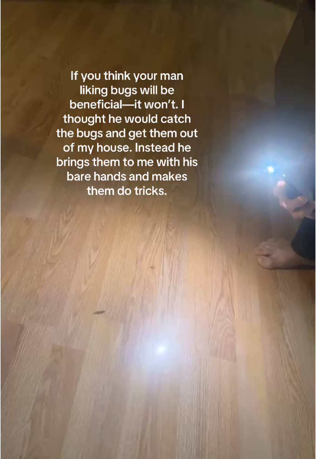 A post by @ on TikTok caption: Bro brings me the bugs like a proud toddler #bugs #clickbeetle #boyfriend #foryou 