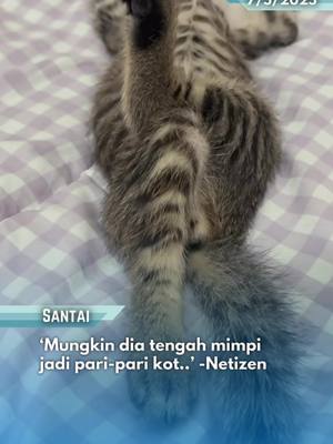 A post by @ohbulanofficial on TikTok caption: EEEK COMEYYY 🥹🥹🥹🫶#ohbulan #fyp #santai #kucing #mimpi #kaki #silang #terbang 