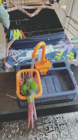 A post by @1313_jatti_dhaliwal on TikTok