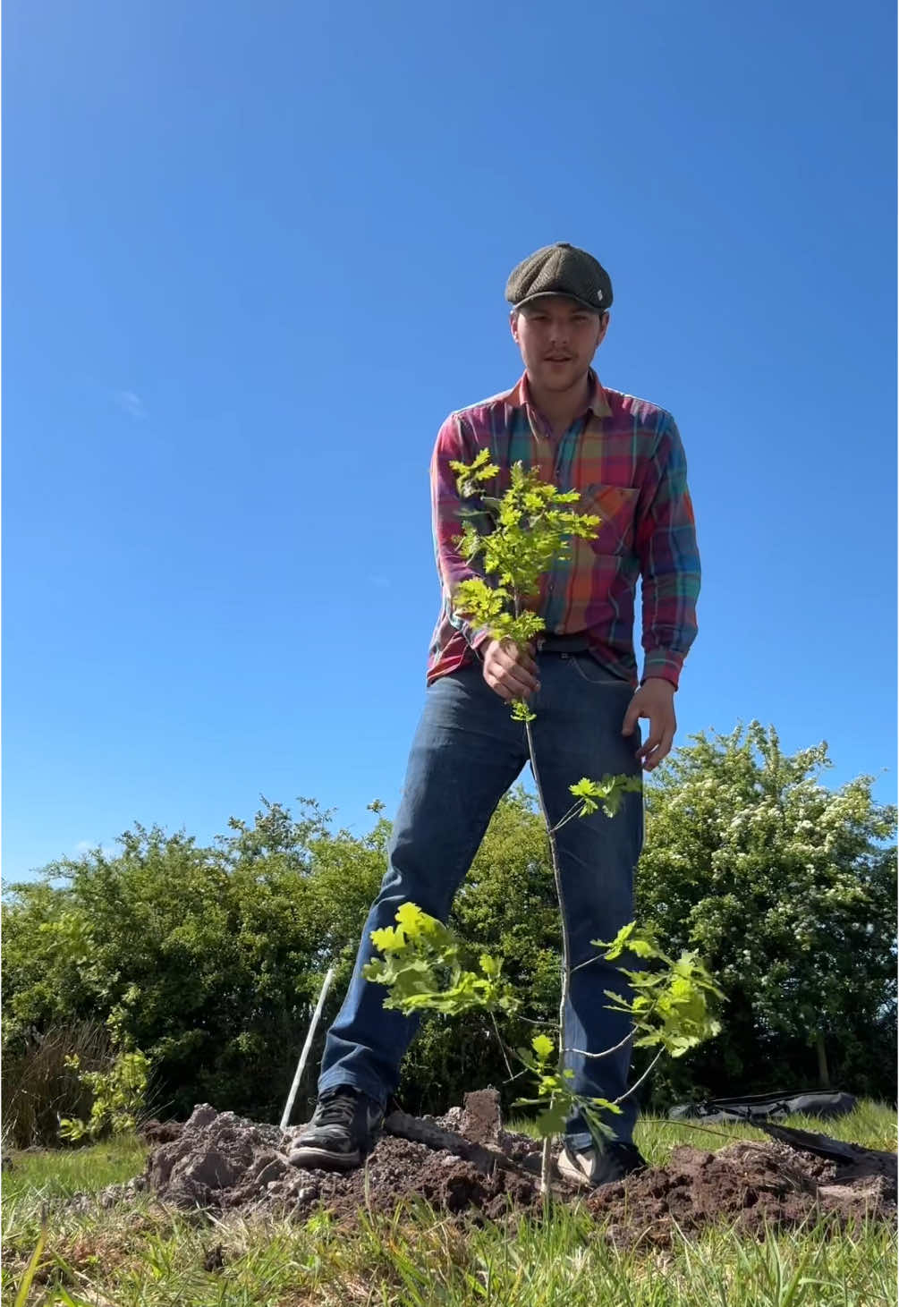 A post by @pintofplane on TikTok caption: Planting Native Irish Woodland with the Gaelic Woodland Project #ireland #gaelic #nature #woodland #wildlife #restoration #biodiversity