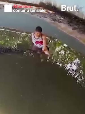 A post by @brutofficiel on TikTok caption: Un touriste a été mordu par un crocodile dans une réserve aux Philippines après avoir cru qu'il s'agissait d'un faux. #philippines #sinformersurtiktok #crocodile #animal 