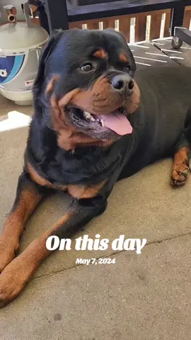 A post by @actionjackson2019 on TikTok caption: #onthisday