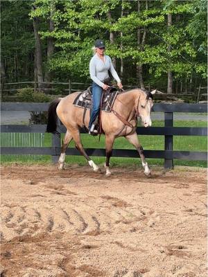 A post by @grace_pajs on TikTok caption: buddy lopes now 😉 #gracepajs #gracek #westernfashion #westernfashioninfluencer #barrelracing #westernhorses #barrelracingtok #buckskin #horsetraining 