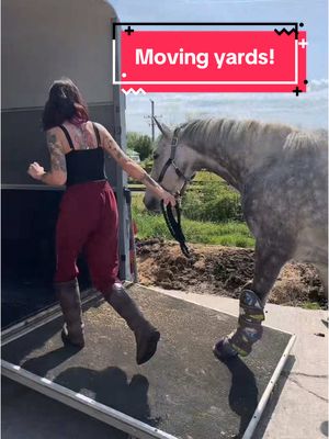 A post by @mollyandthegreys on TikTok caption: End of an era 🥺 I’m so grateful for all the love and support from everyone at @Rathlane Farm 🫶🏼 You won’t find a better group of people. I’m truly sad to be leaving them and I’ll miss everyone so much💔 If anyone in Northern Ireland is looking for a yard to move their horse to, Rathlane comes with my highest recommendation. Tori is the kindest, most hardworking yard owner I’ve ever come across and she treats every horse like they’re her own🥰 #horse #equine #equestrian #horseriding #horsetok #horsegirl #horsesoftiktok #equestrianvibes #equestriantiktok #fyp #foryou #abcxyz  