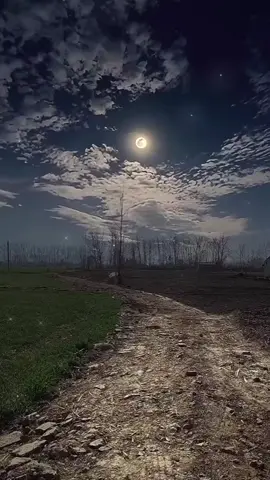 A post by @youyou_193 on TikTok